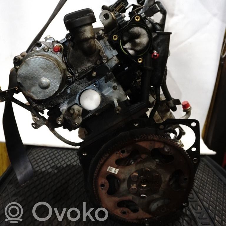 Motor   55568231