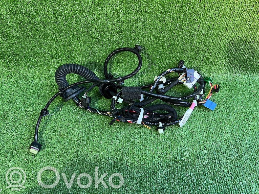 Tesla Model 3 Cableado de puerta delantera 