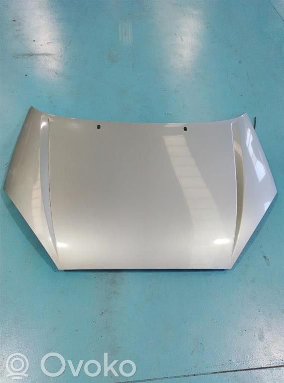Engine bonnet/hood   F9DA