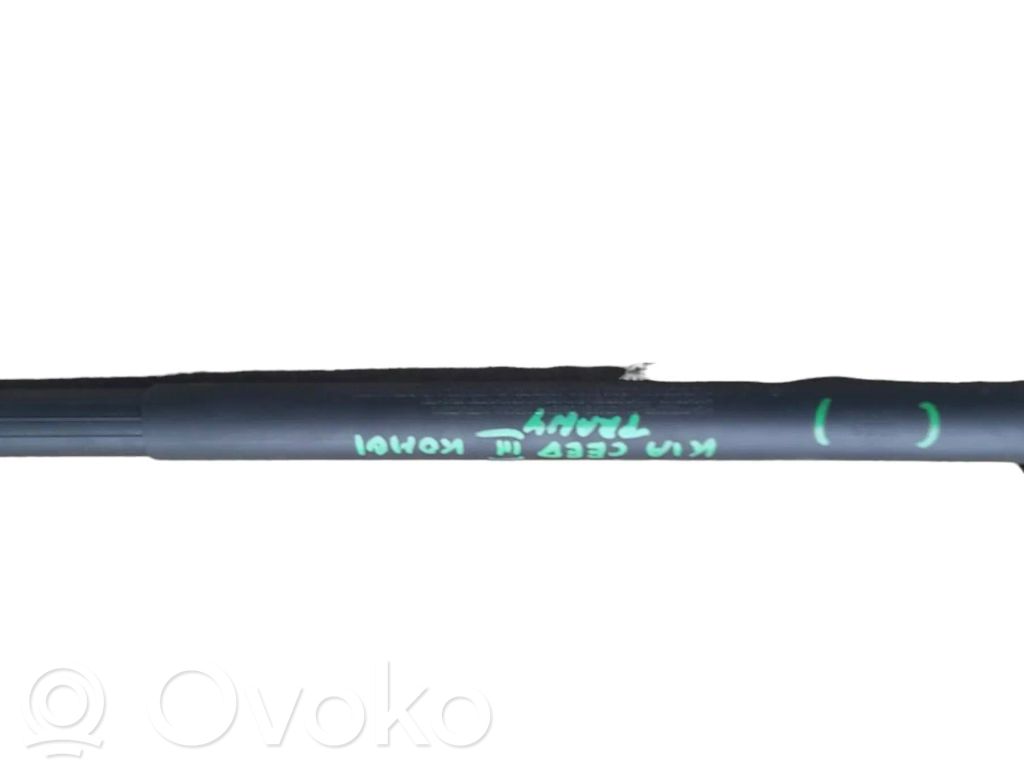 Tailgate strut   81841J7210,0134017818,404407009