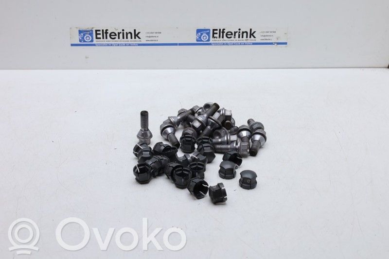 Nuts/bolts
