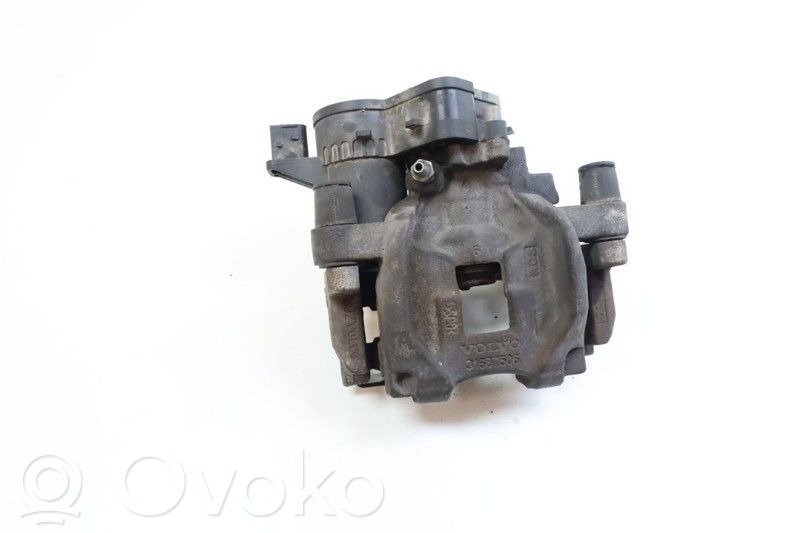 Takajarrusatula   36010402,31687506,31687348,31687506,36010402