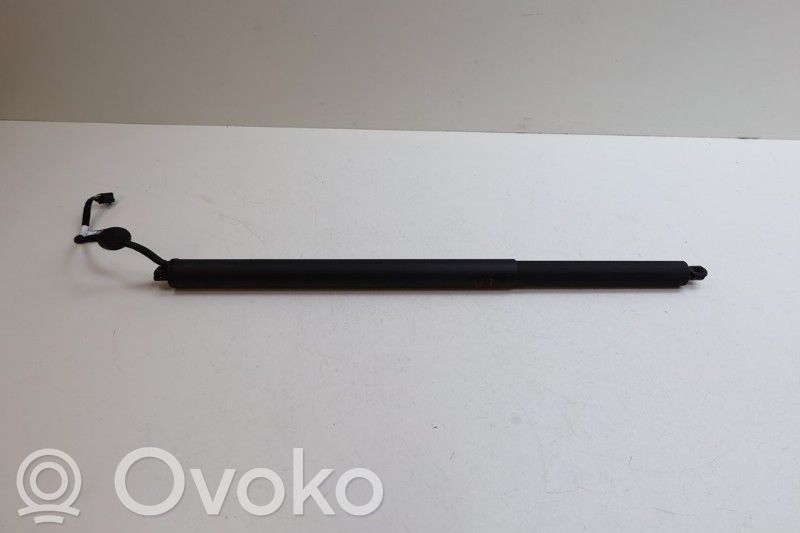 Zeekr 001 Amortizor hayon 