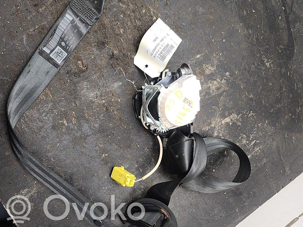 Volkswagen PASSAT B6 Cinturón delantero 