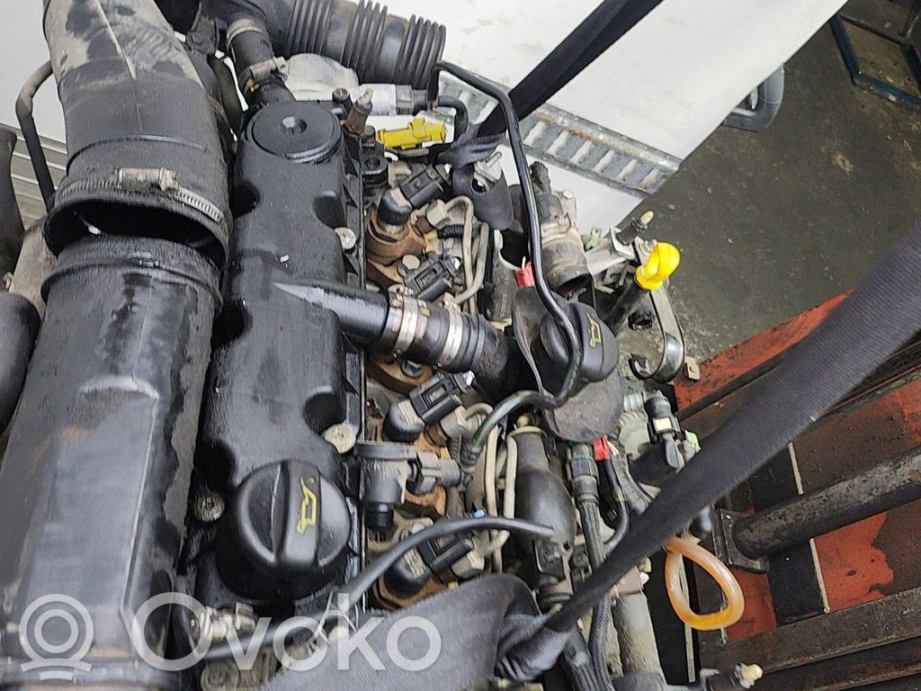 Peugeot 307 Variklis 