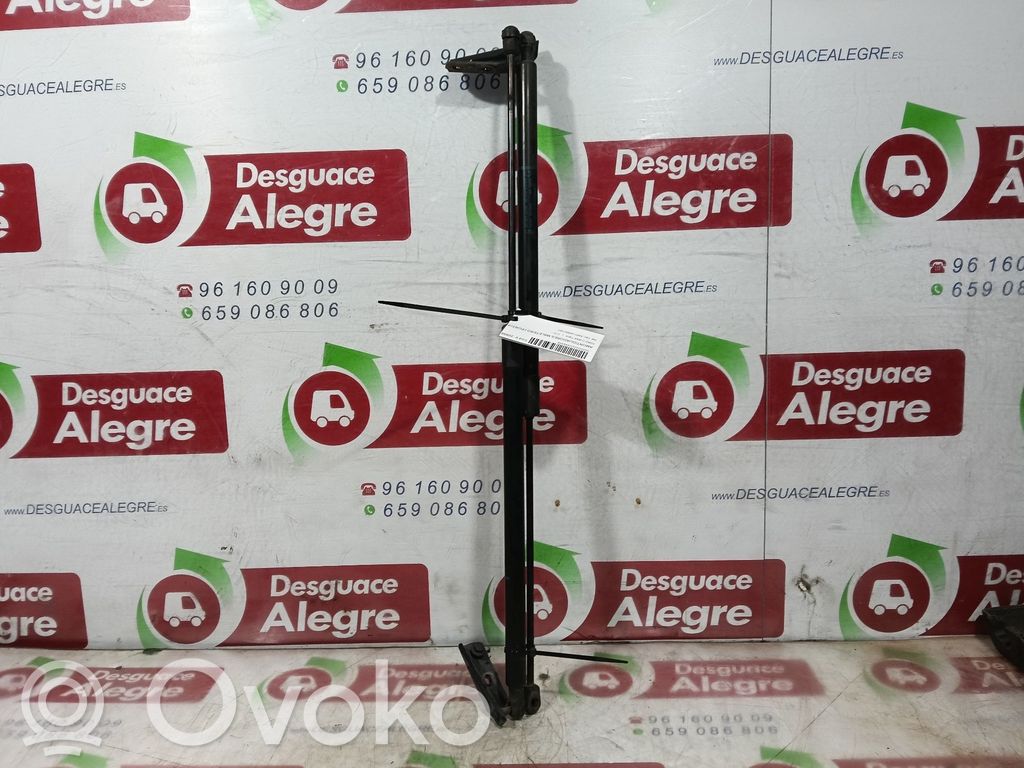 Amortizor hayon   AM51U406A10AC
