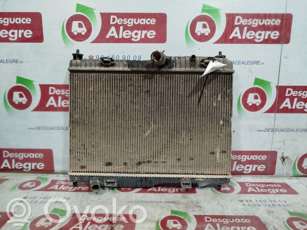 Ford Fiesta Radiator lichid răcire 