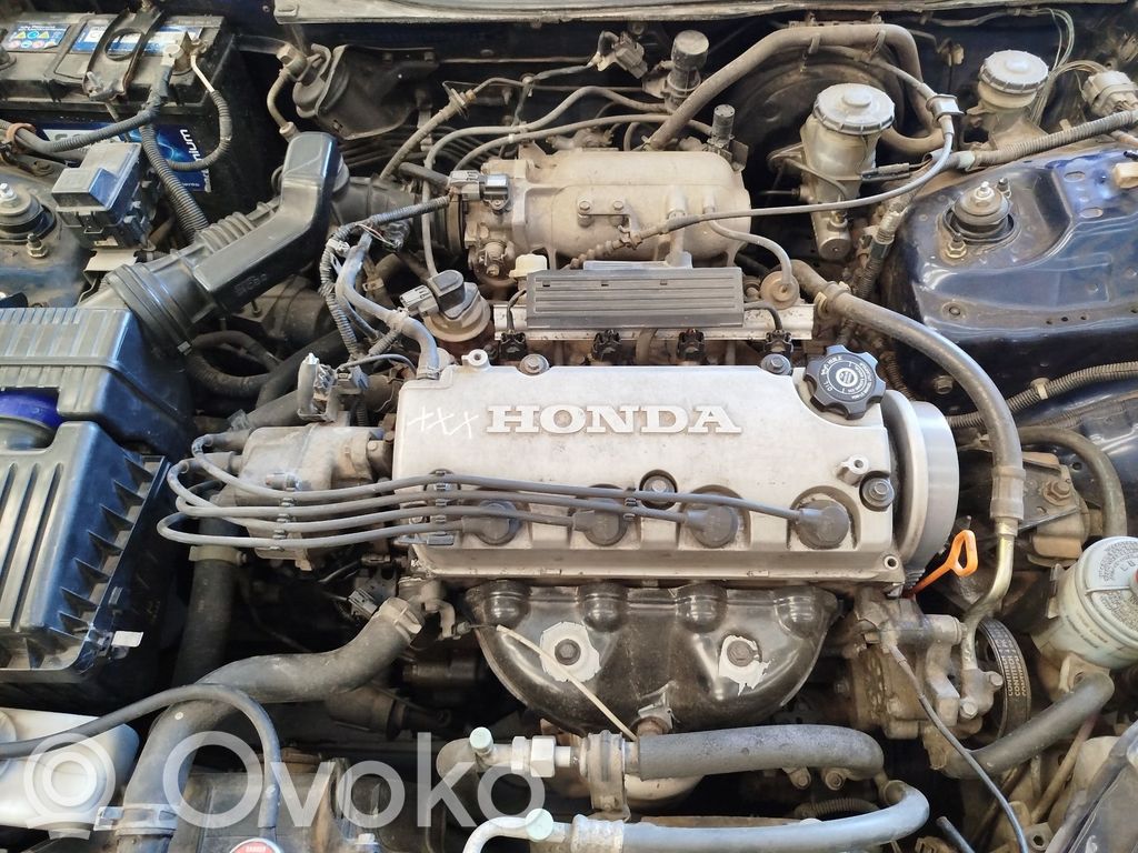 Motor   D15Z6