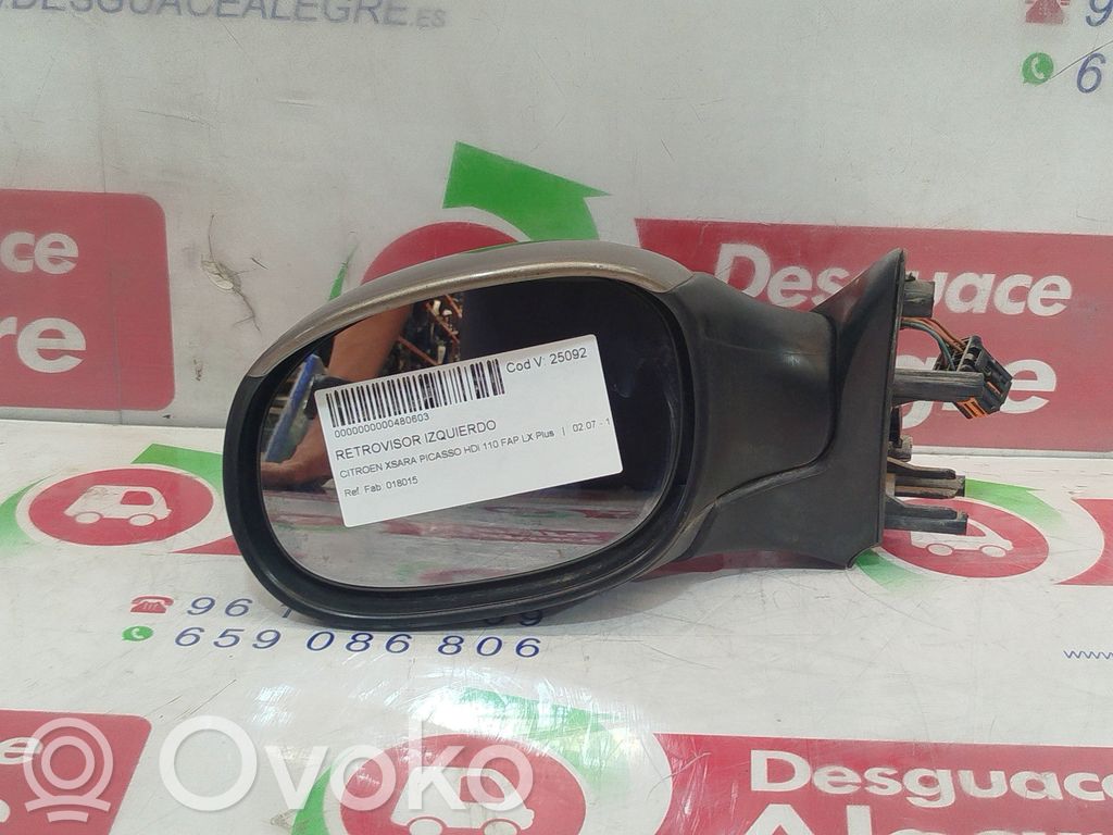 Citroen Xsara Picasso Außenspiegel elektrisch Tür vorne