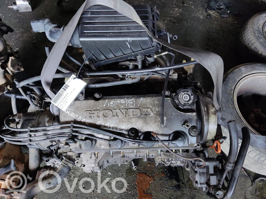 Honda Logo Moteur