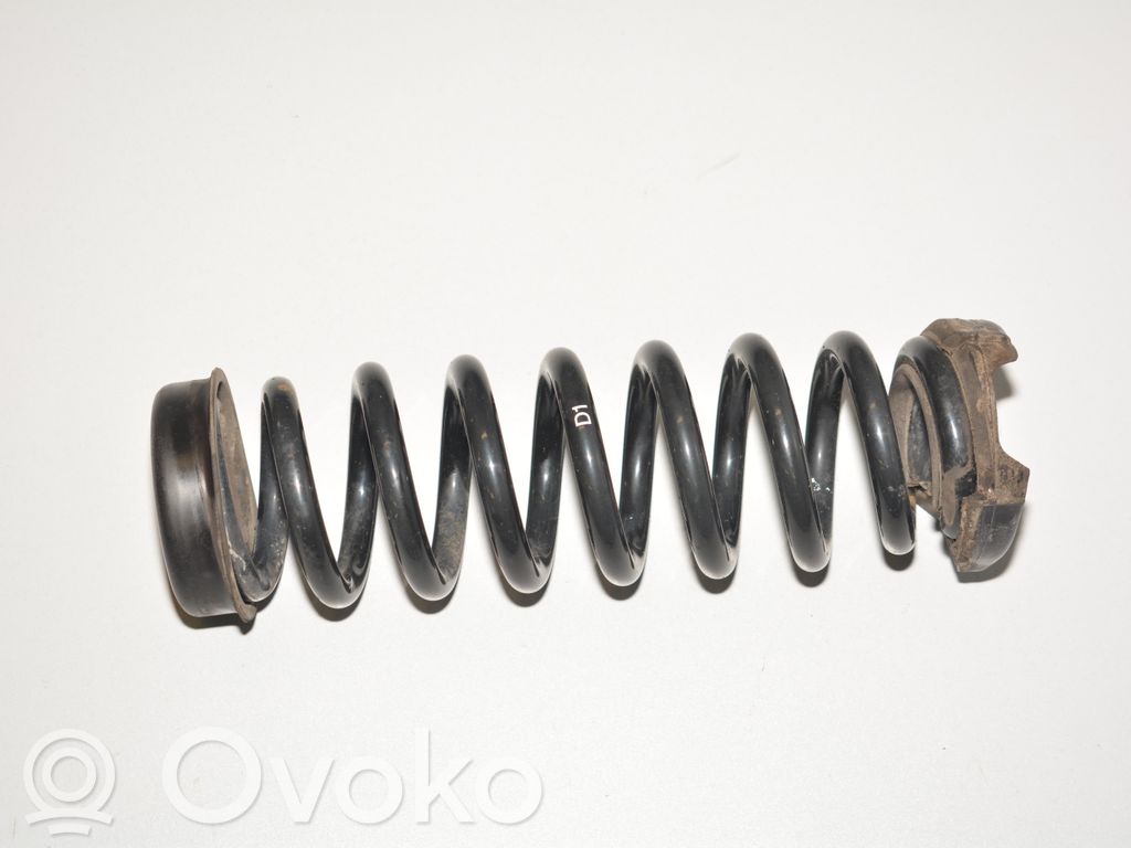 Rear coil spring   6764419,6764420