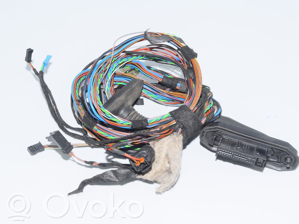 BMW X5 E70 Cableado de puerta trasera 