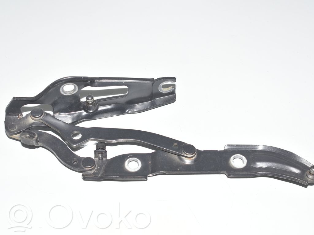 Tailgate/trunk/boot hinge   7060628,41627210676,7133816