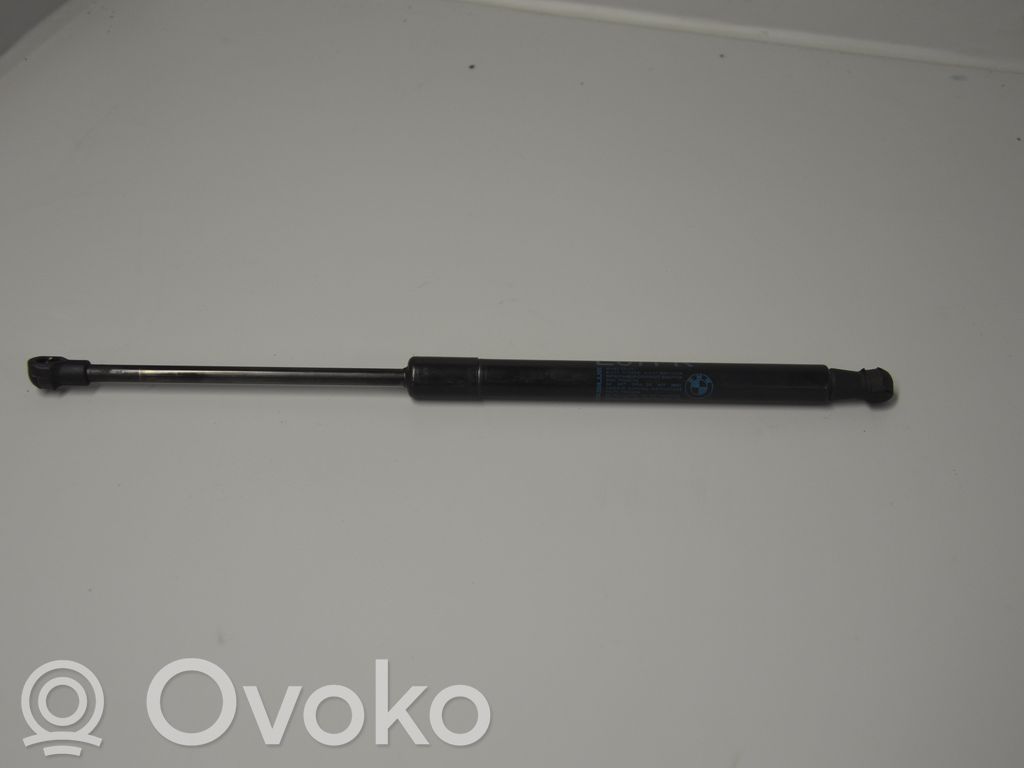 Vérin, capot-moteur   7118370
