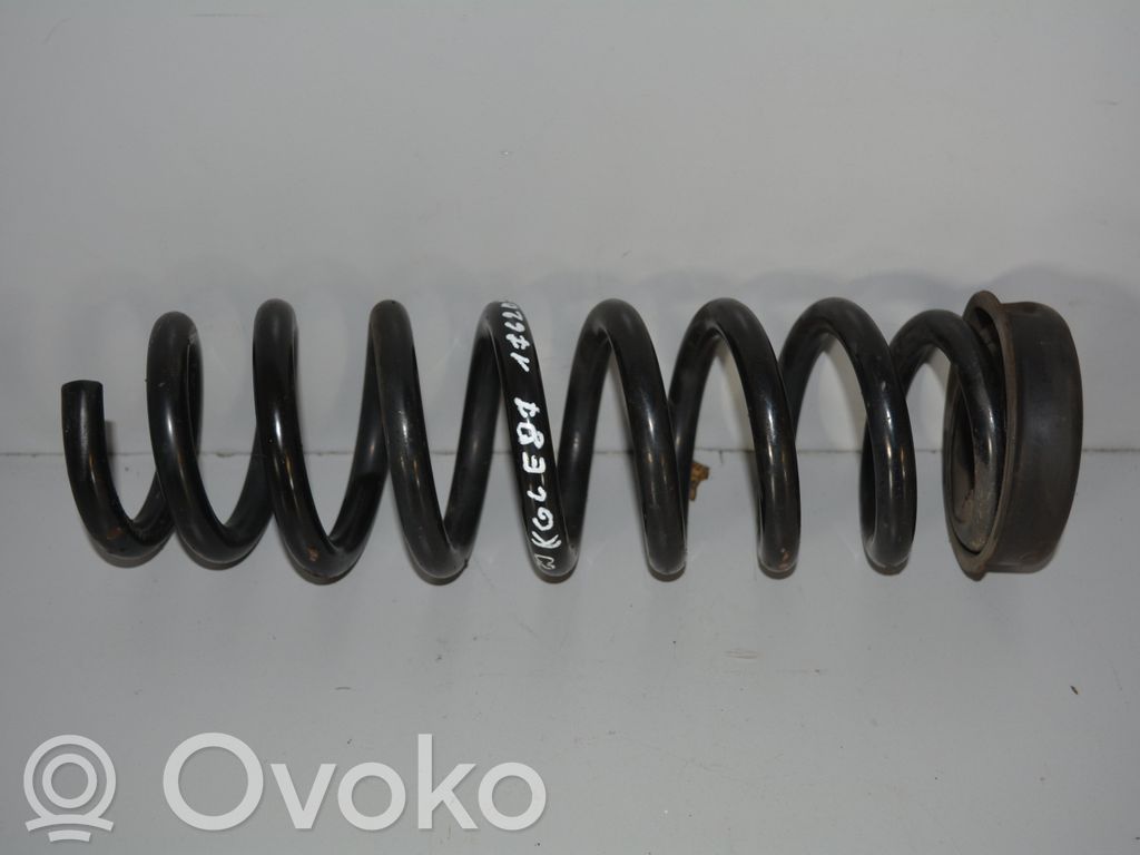 Rear coil spring
