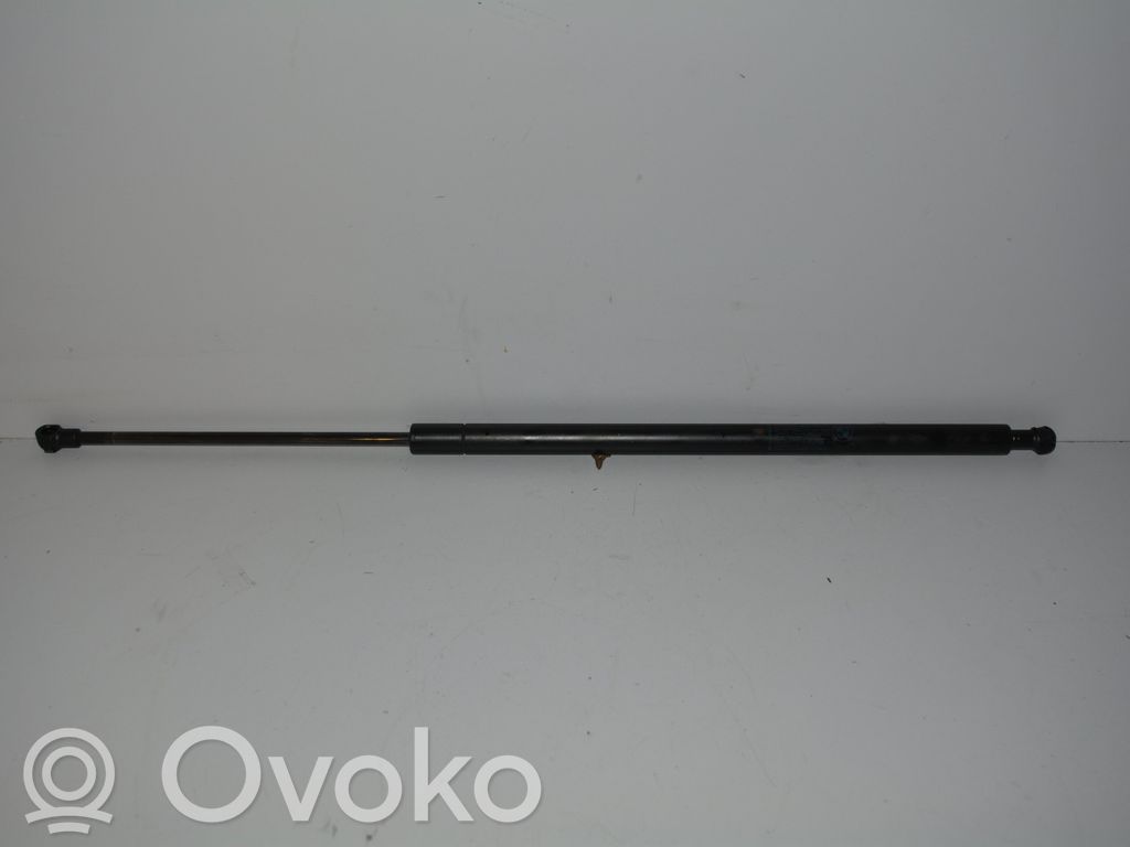 Tailgate/trunk strut/damper   3400379