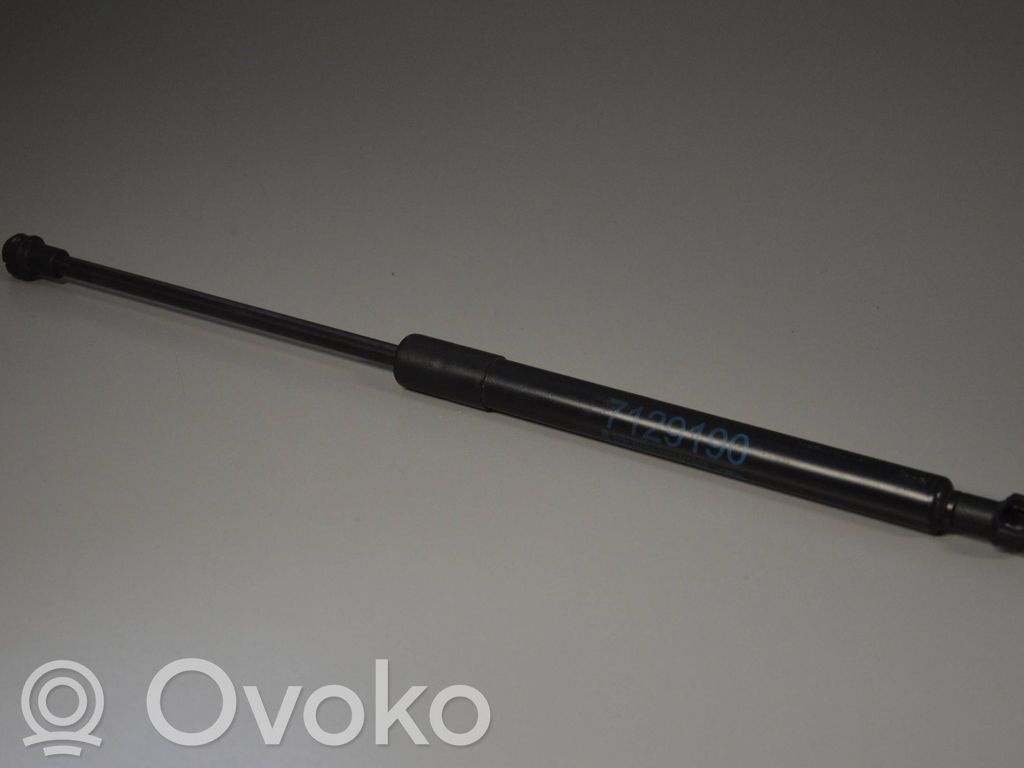 Front bonnet/hood damper/strut   51237129190
