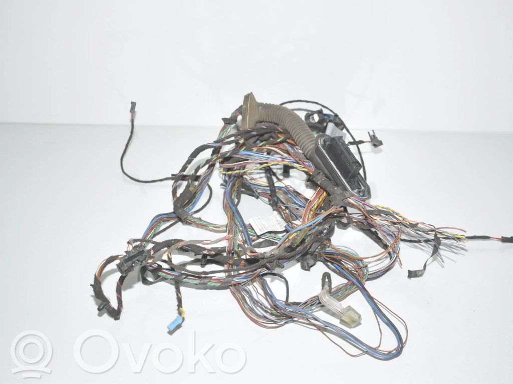 BMW X5 E70 Cableado de puerta trasera 