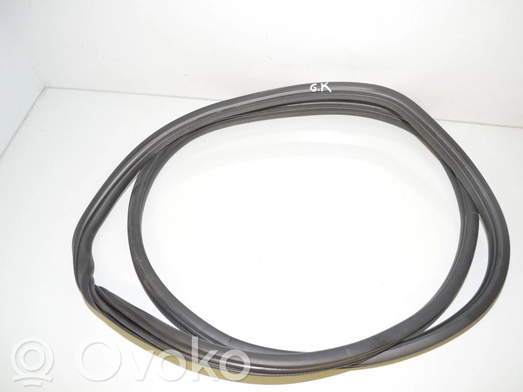 BMW X6 E71 Gumowa uszczelka drzwi tylnych / na karoserii 