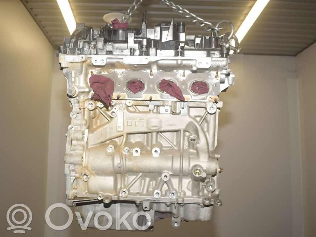 BMW X1 F48 F49 Variklis 