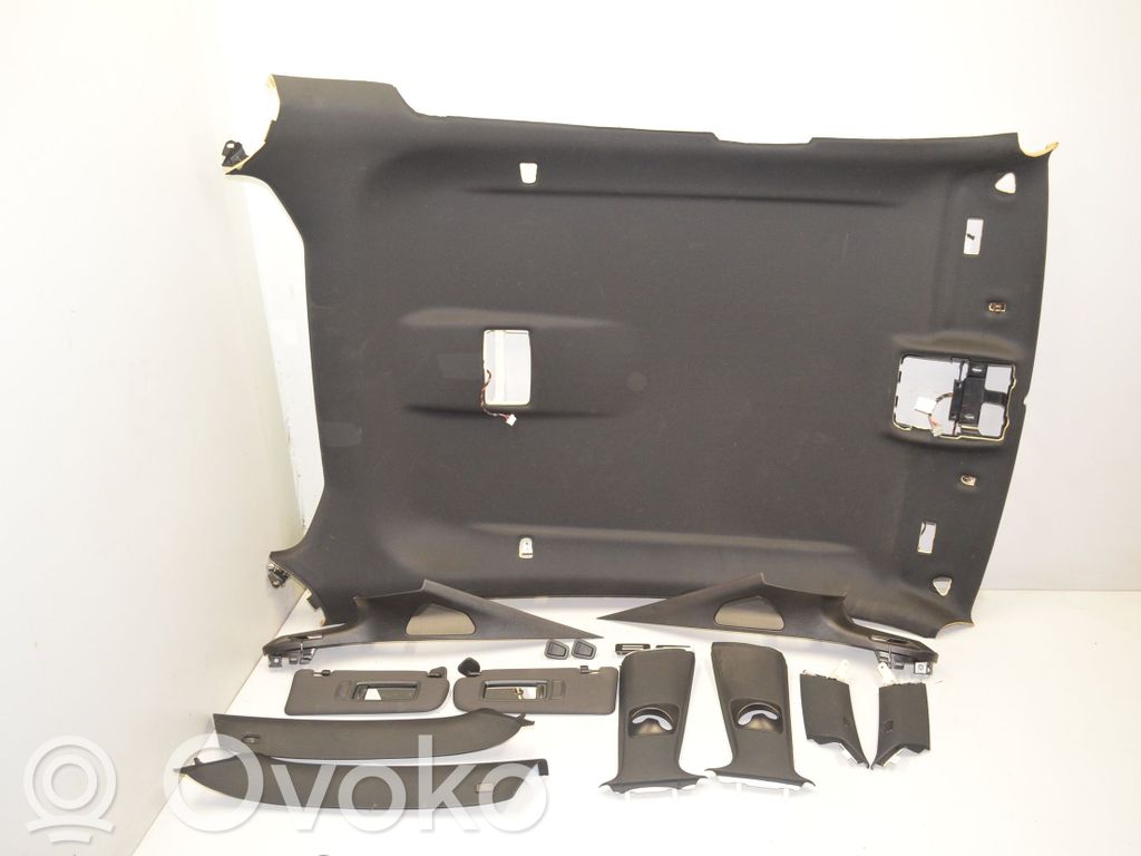 BMW X6 E71 Headlining 