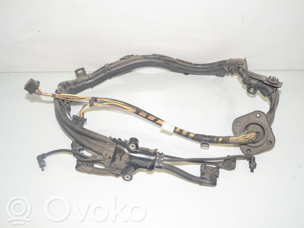 BMW X6 E71 Other wiring loom 