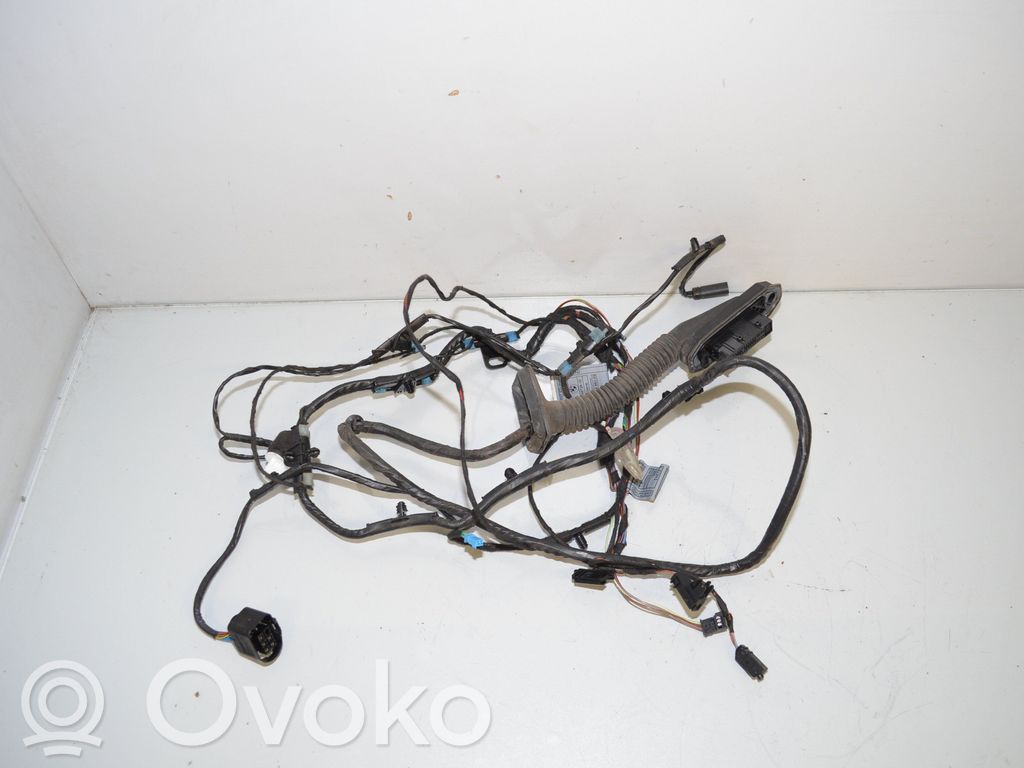 BMW X6 E71 Cableado de puerta trasera 