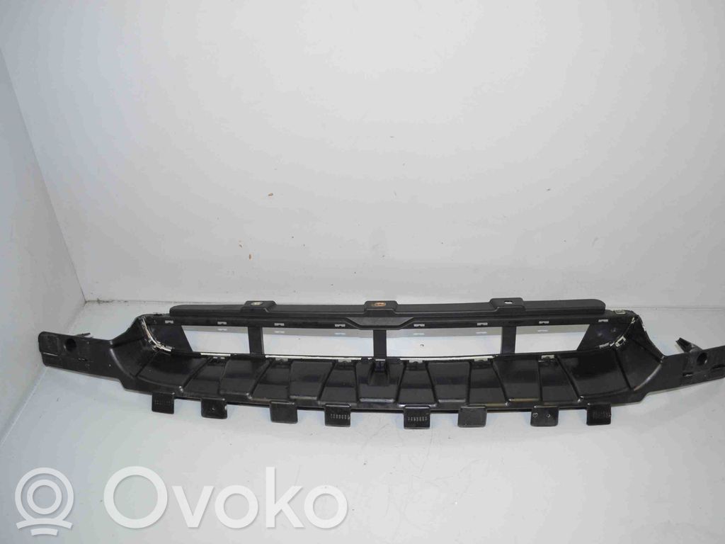 BMW X6 E71 Front bumper lower grill 