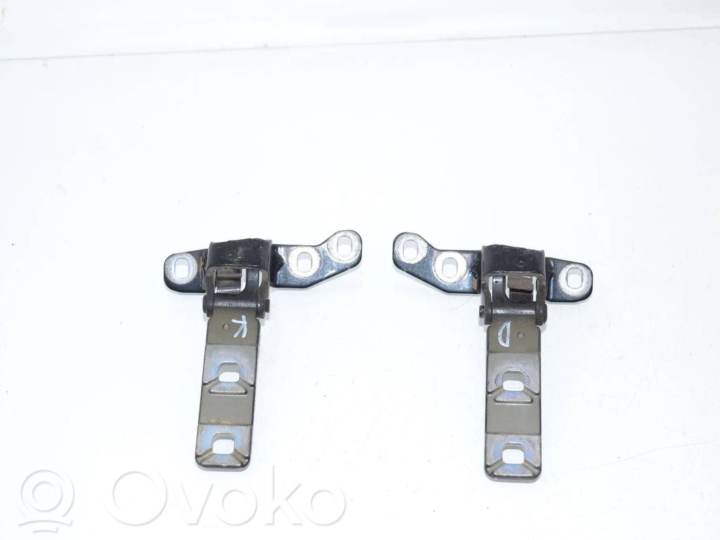 BMW X5 E70 Tailgate/trunk/boot hinge 
