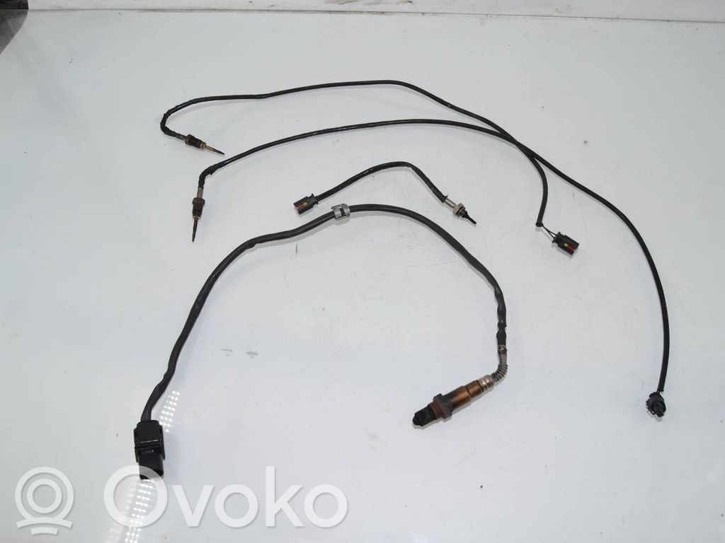 BMW 5 F10 F11 Exhaust gas temperature sensor 