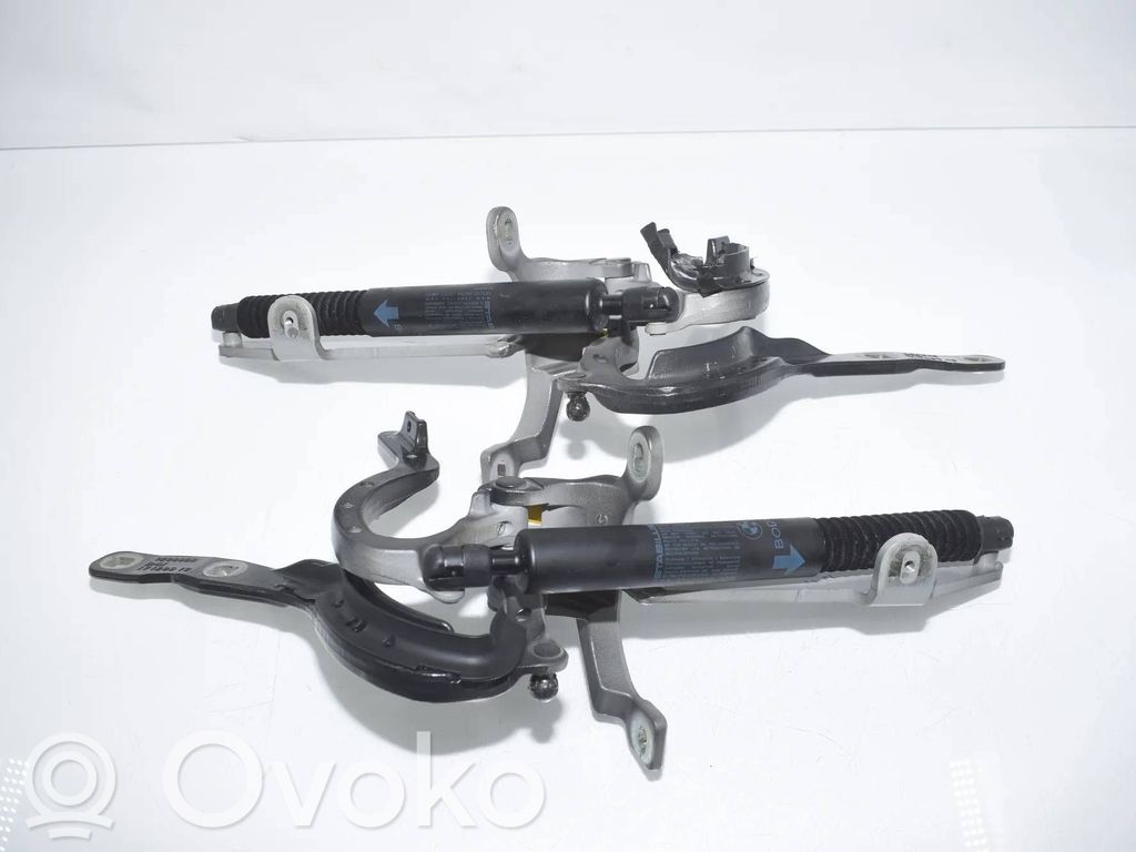 BMW 5 F10 F11 Cerniera portellone posteriore/bagagliaio 