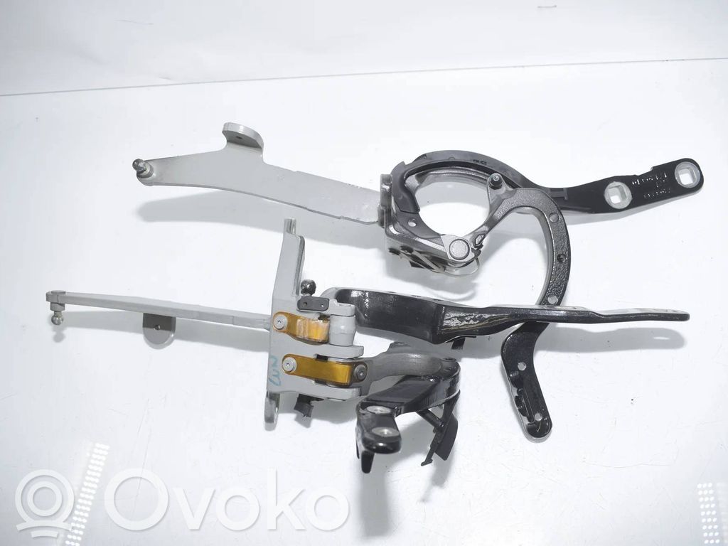 BMW 5 F10 F11 Cerniera portellone posteriore/bagagliaio