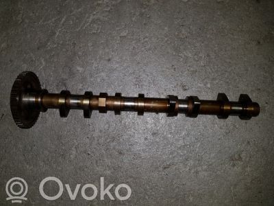 Sadales vārpsta   G4FC,242002B010