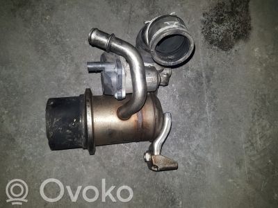 Seat Leon (5F) Răcitor supapă EGR 
