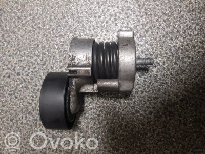 Tensor de la correa de distribución   N46B20B,11287524267