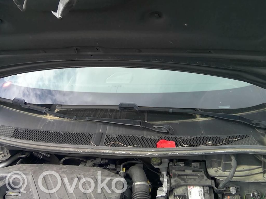 DS Automobiles 7 Crossback Apărătoare ștergătoare 