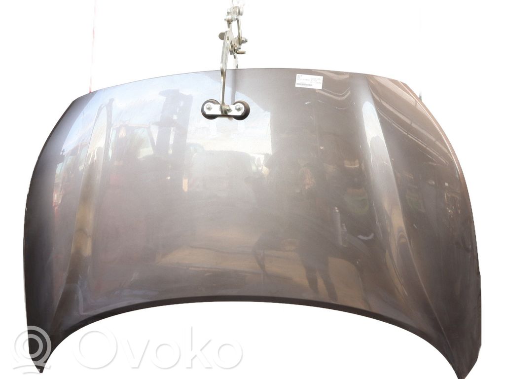 Vano motore/cofano   66400A2000