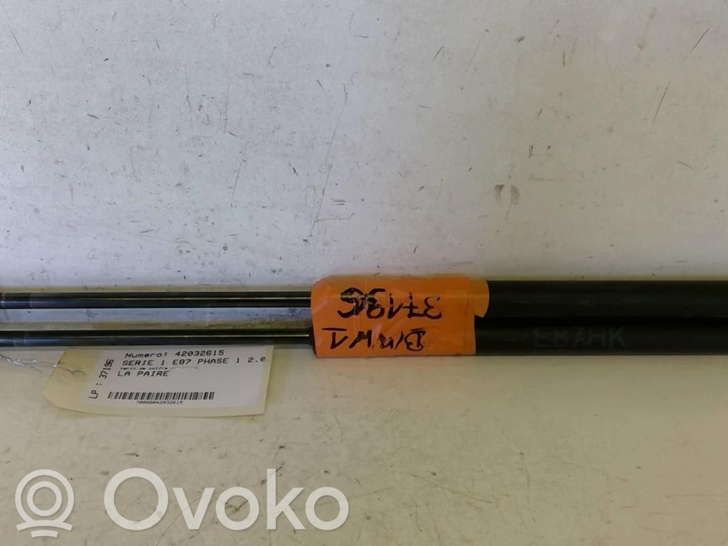 Tailgate/trunk strut/damper   51247060622