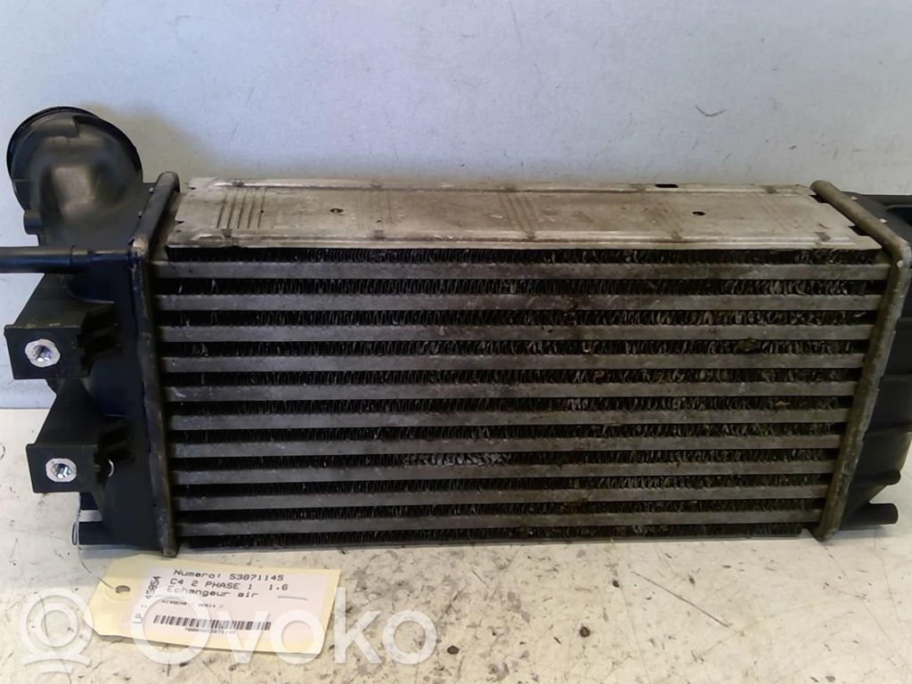 Interkūlerio radiatorius   00000384N9,96514