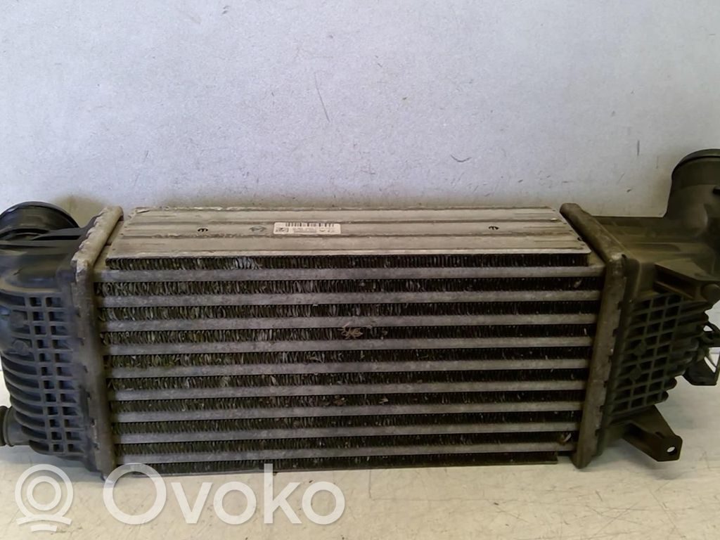 Intercooler radiator   00000384N4,96497