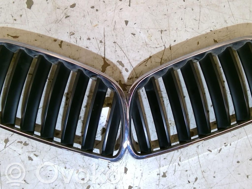 Front grill   9567250577