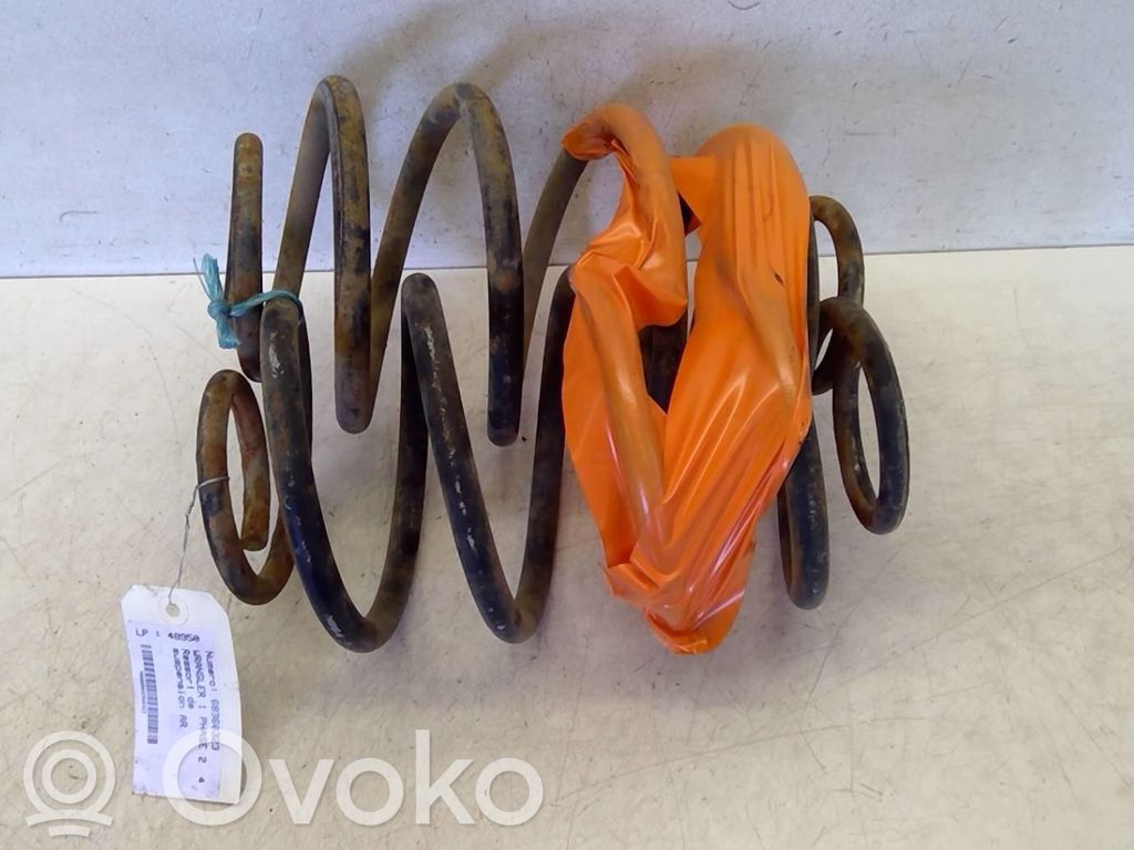 Rear coil spring