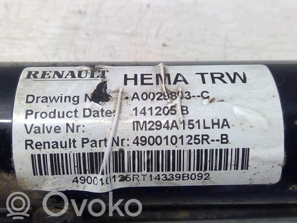 Lenkgetriebe   490014807R,DA3100