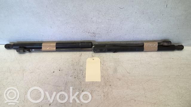 Ford Focus Amortizor hayon 