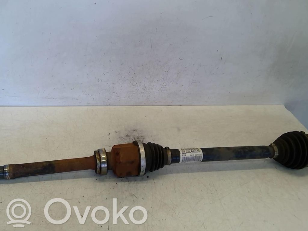 Priekšējā pusass   9868325680,1944T