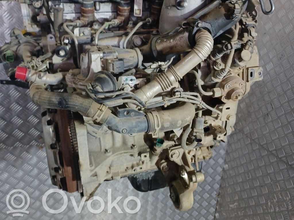 Motor   0135SW,DV6DTED9H06