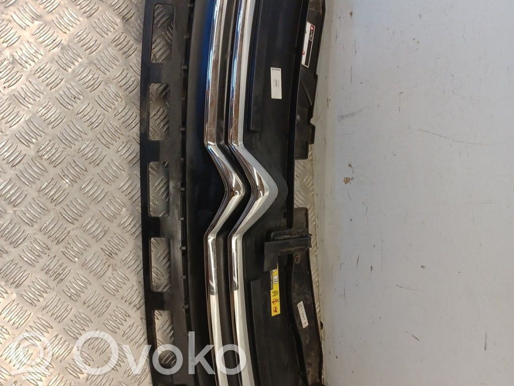 Front grill   98120634XT