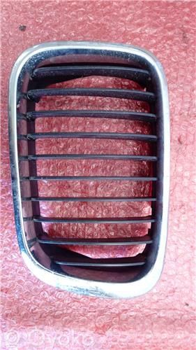 Bonnet/hood grill