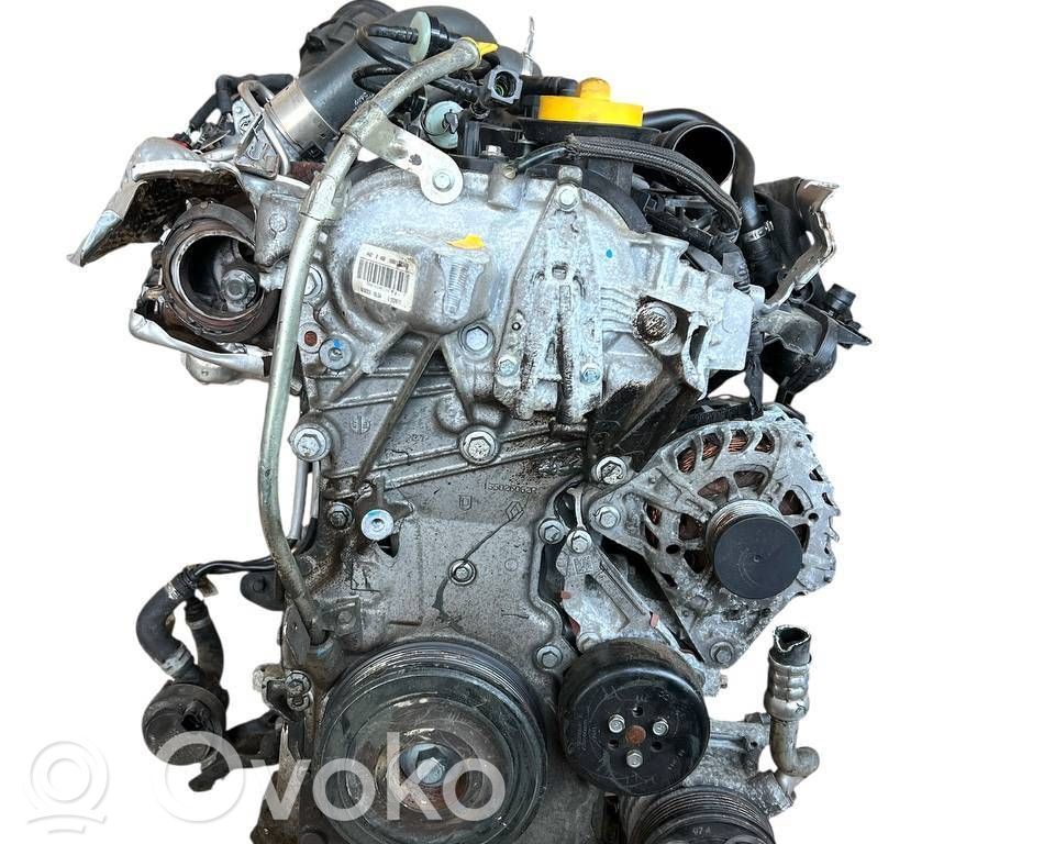 Variklis   110119230R