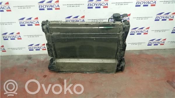 Radiador intercooler   17512246795